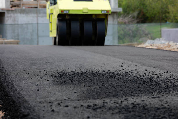 Best Local Driveway Pavers  in Indian Hills, NV